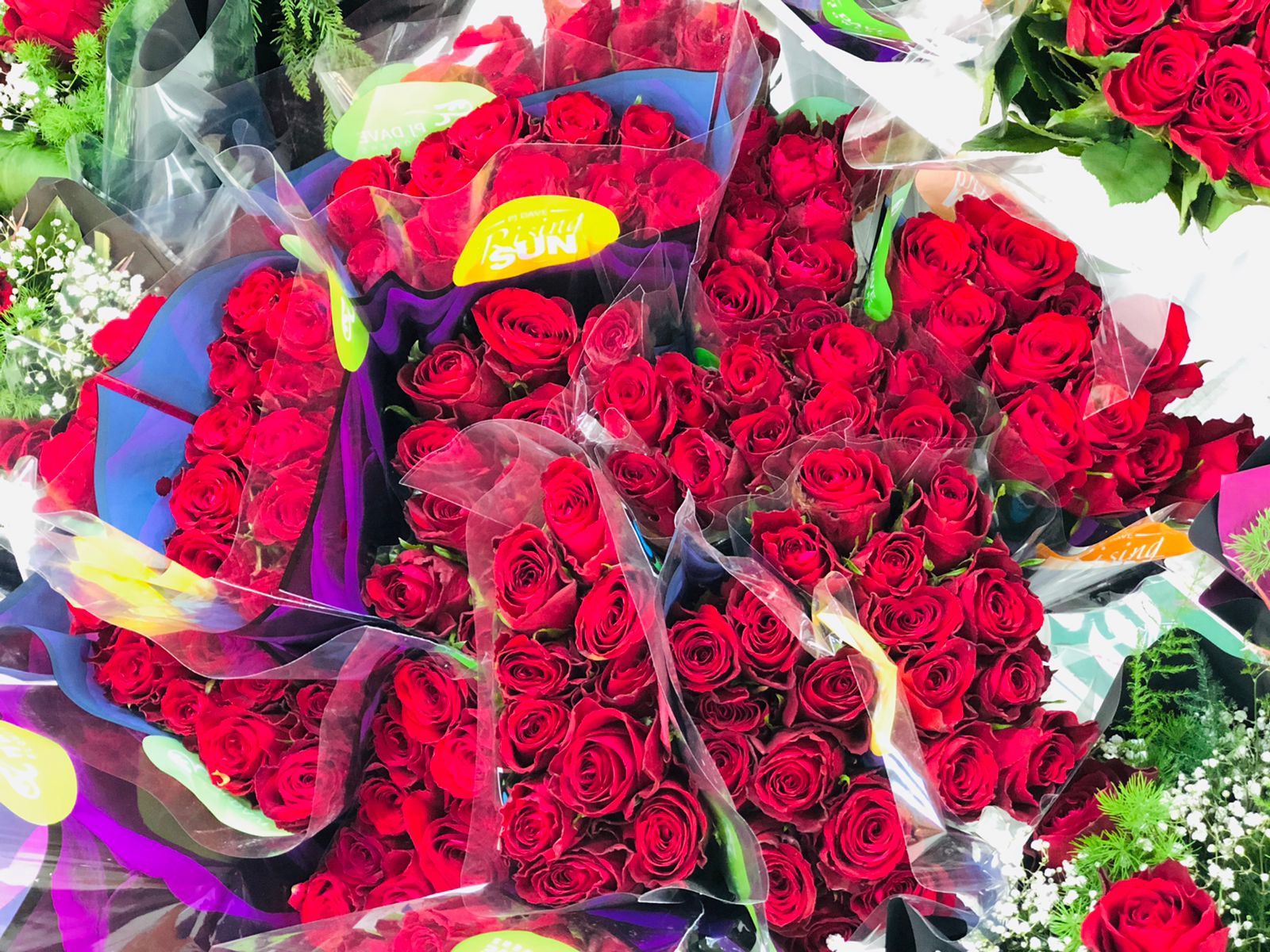 A florist in Duhok on Valentine’s Day, Monday, Feb. 14, 2022 (Photo: Kurmanj Nhili)